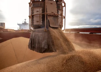 China impulsiona vendas de soja dos EUA, que atingem 2,84 milhões de toneladas na melhor semana da safra
