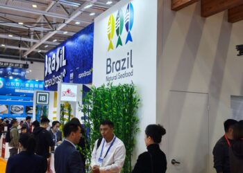 Exportações brasileiras de pescado para a China crescem e empresas buscam ampliar vendas