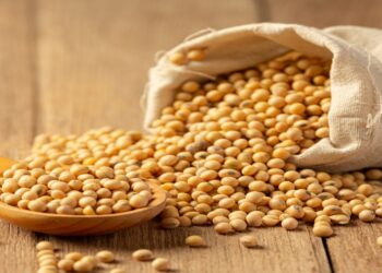 Preços globais dos alimentos atingem maior nível em quase quatro anos, aponta FAO
