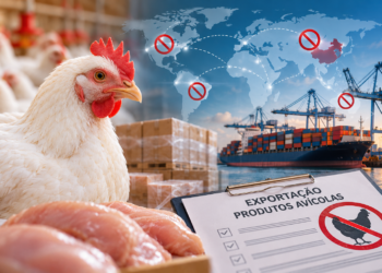 Doença de Newcastle: Brasil enfrenta restrições à exportação de produtos avícolas